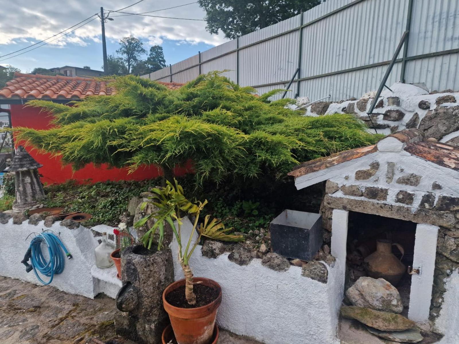 فندق Tropical Dream Farm فوزيلا المظهر الخارجي الصورة